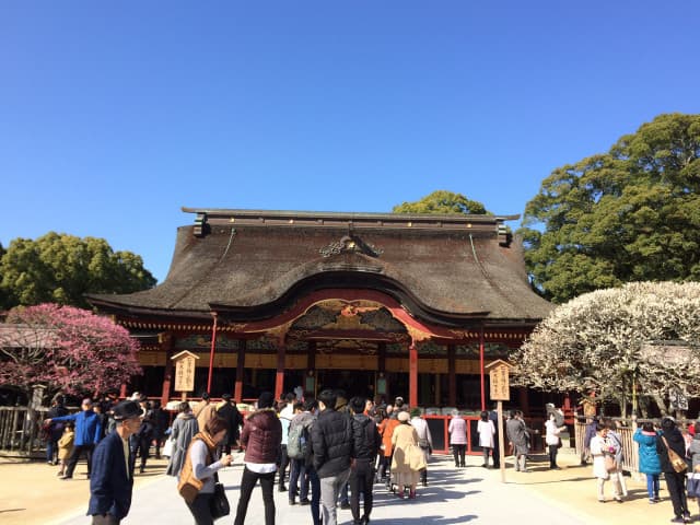 がんばれ、受験生🌸